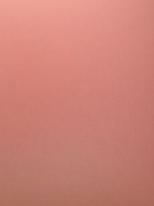 Meet your Posher, Ruthie